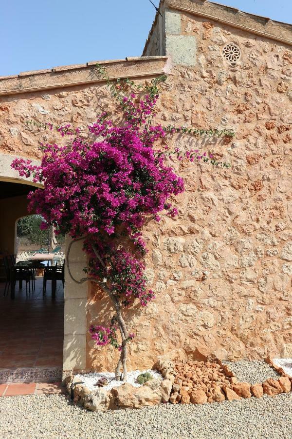 Ferienhaus Casa Calendula